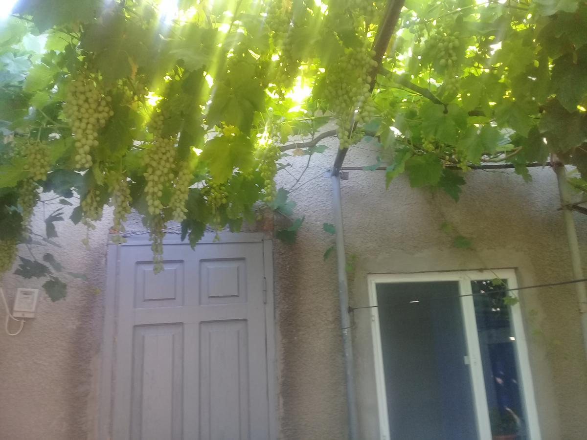 Guest House Gikacha Tbilisi Bagian luar foto